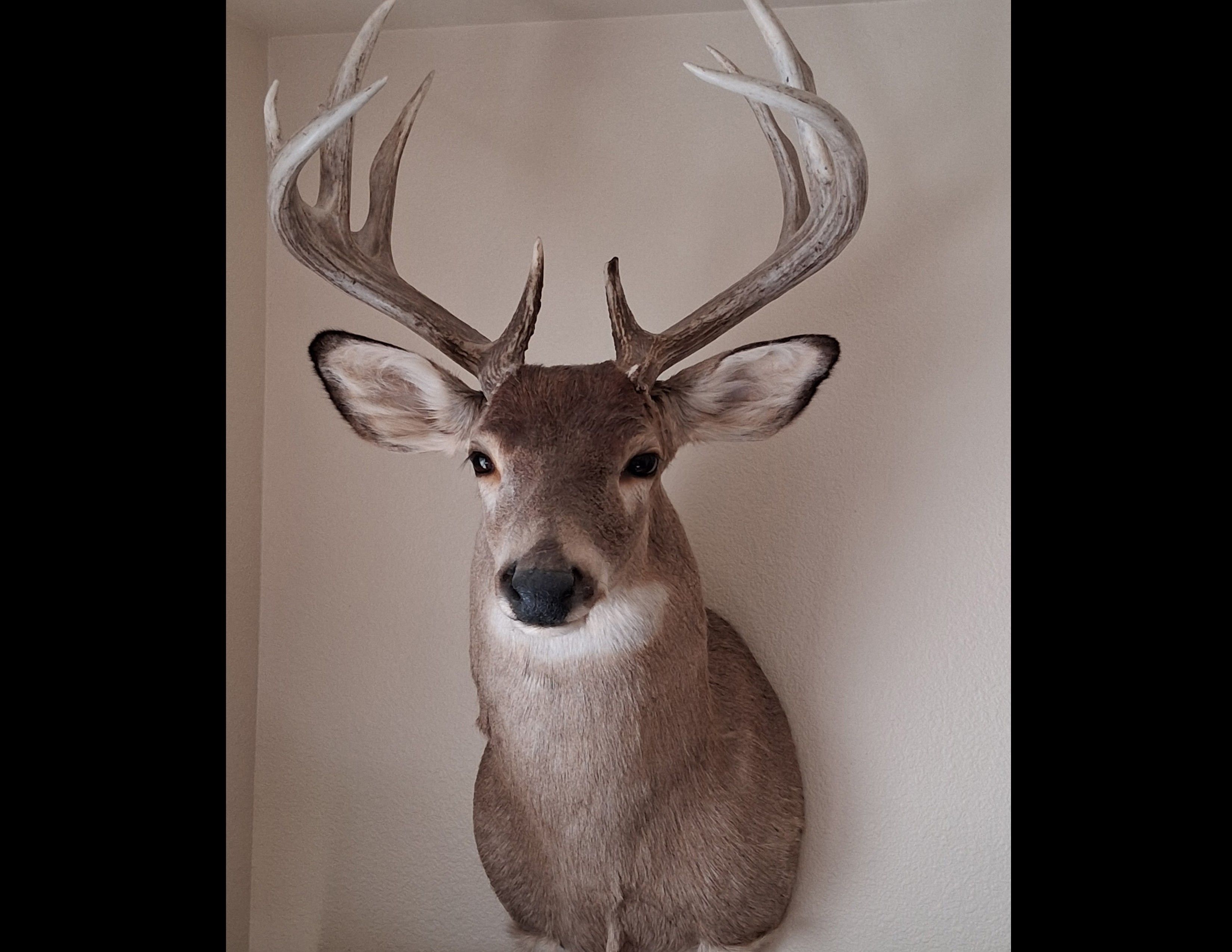 Listing Photo: Deer Wanek 2